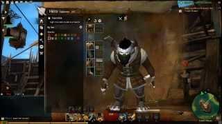 GuildWars 2 Open/Beta#1 XO Demitrios