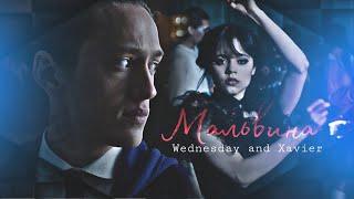 Wednesday and Xavier || Мальвина