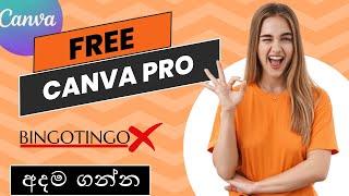 How to Get Canva Pro Teams for Free in 2024! | Step-by-Step Guide