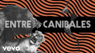 Soda Stereo - Entre Caníbales (Official Visualizer)