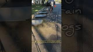 Www.jaycaydogservices.com