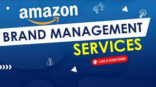 Amazon Account Management Services for Seller & Vendor Central