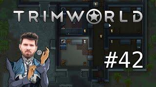 (T)RimWorld #42 mit Matteo