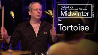 Tortoise | TNT Full Set | Midwinter 2019