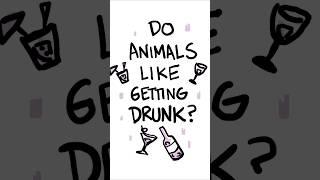 The biggest DRINKERS in nature  #science #shorts #animals