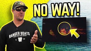 How To Identify Fish On LiveScope | Cory Johnston