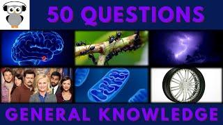 General Knowledge Quiz Trivia #201 | Brain, Ants, Lightning, Park and Recreation, Car Wheel