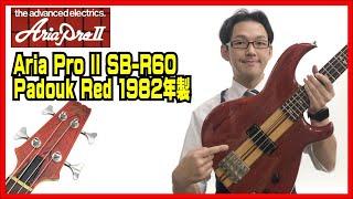 【サムライベース】ARIA PROⅡ SB-R60のサウンドチェック