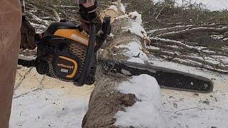 Poulan Pro 5020 chainsaw (IN ACTION)