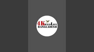 4K Wildlife Bangladesh is live