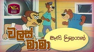 Walas Mama | වලස් මාමා | මසුන් ඇති කිරීම