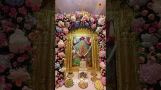 Salangpur Hanuman Jayanti 2025 | Bhakti, Bhajan & Blessings