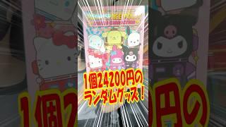 The most expensive random goods ever are too crazy! Unboxing the Sanrio Characters MEGA Collectio...