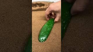 Melting Metal into cucumber bombs! Sand Casting Production Process | Metal Casting