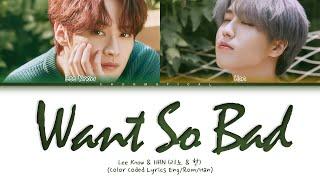 Lee Know & Han "Want so Bad" Lyrics (리노 & 한 "Want so Bad" 가사) (Color Coded Lyrics)