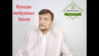 Функции мембранных белков. ЕГЭ Биология. ЕГЭ 2022.