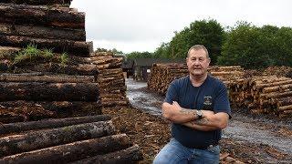 Carronbridge Sawmill with the Wood-Mizer WB2000 Wideband Sawmill