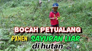 BOCIL MAIN DI HUTAN petik sayuran liar .langsung di pasak #Bocil #survival #anakpetualang