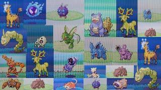 23 LIVE Shinies in the Safari Zone ! (Safari Week 2022 Compilation)