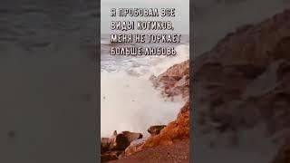 кишлак — молча (сниппет 05.02) (релиз ??.03)