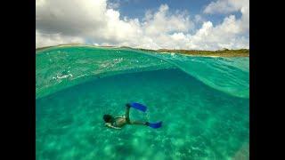 Fernando de Noronha  - Brazil Ecotour