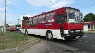 Ikarus 250 in the city of Gomel,Belarus// икарус 250 в городе Гомель, Белоруссия