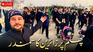 Zaireen ka Samander Najaf se karbala ke Tarf - Mashi 2024 - Najaf to Karbala Walk