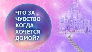 ХОЧЕТСЯ ДОМОЙ!/ ГДЕ МОЯ ЗВЁЗДНАЯ СЕМЬЯ? КУДА ТЫ НА САМОМ ДЕЛЕ ХОЧЕШЬ?