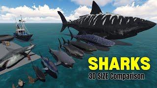 Unleashing the Sea Monster Giants: Epic 3D Shark SIZE Comparison 2024