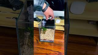 Discover the Delight of a Household Small Fish Tank in Any Room | Pondon Aquarium