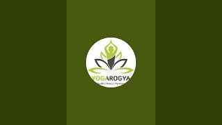 Morning Yoga Class | Day 44 | Chair Yoga Flow | Yoga Arogya center | SURAT