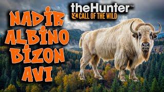 NADİR BULUNAN ALBİNO BİZON AVI | theHunter: Call of the Wild