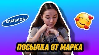 Посылка от Марка, но что там?