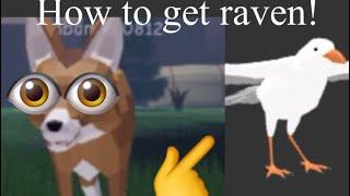 How to get a raven in forest friends lROBLOXl *Quick and easy* Read desc*