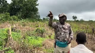 US to Ghana, Walking Through Our 50 Acre Farm ￼