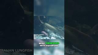 One of the Rarest Fish in the World