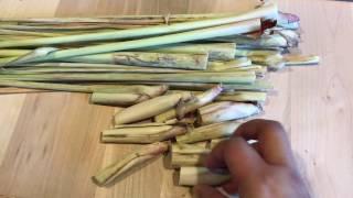 How To Grow Lemongrass From Cuttings