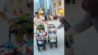 Just four little guys on a stroll in the big city @LorettaBritishCat #cats #catlife #chicago