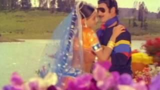 Ee Gaalilo Full Video Song || Agni Parvatam Movie || Krishna, Radha, Vijayashanti