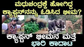 ಹೊಸ 5 G ಆನೆ ಕಾನಳ್ಳಿ ಕುಳ್ಳ ಯಾರು? ಮಧುಚಂದ್ರದ ಕ್ಯಾಪ್ಟನ್ ಕನಸನ್ನು ಬಗ್ನ ಮಾಡಿದನೆ ಭೀಮ? ಬಗ್ನ ಪ್ರೇಮಿಯ ಕಥೆ ಕೇಳಿ