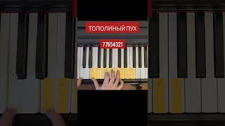 ФОРТЕПИАНО ДЛЯ ВЗРОСЛЫХ С НУЛЯ