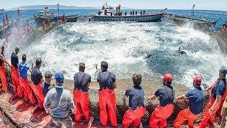 Everyone should watch this Fishermen's video - Big Catch Hundreds Tons Fish With Modern Big Boat