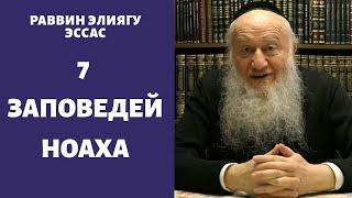 Почему слова "Семь мицвот Сынов Ноаха" Вы считаете не совсем удачными?