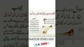 Ghr ma Oth ki Hadi ||Al-jannat Muslim plus