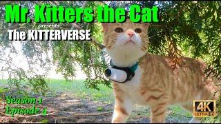 Mr. Kitters presents The Kitterverse. Season 1 Episode 4 