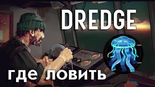 Ушастая аурелия DREDGE  где ловить?