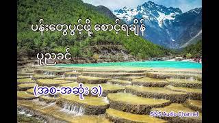 ပန်းတွေပွင့်ဖို့စောင့်ရချိန် (ပုညခင်) (စ-ဆုံး ၁)