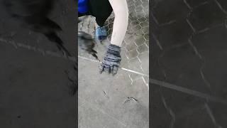 Gabion Machine - Good tools and machines make the job easy #machine #shorts #fence #gabion