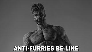 Anti-furry slander