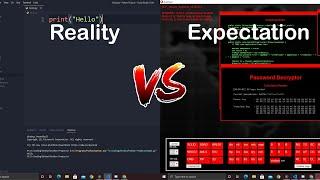 Programming Expectation vs Reality